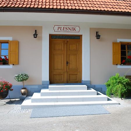 Farm Stay Rotovnik - Plesnik 슬로벤 그라데츠 외부 사진