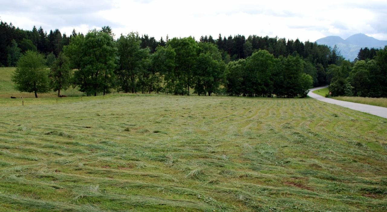 Farm Stay Rotovnik - Plesnik 슬로벤 그라데츠 외부 사진