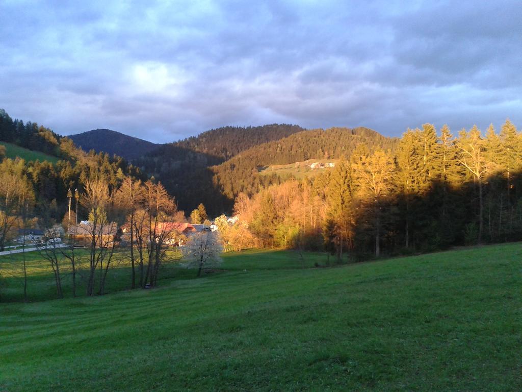 Farm Stay Rotovnik - Plesnik 슬로벤 그라데츠 외부 사진
