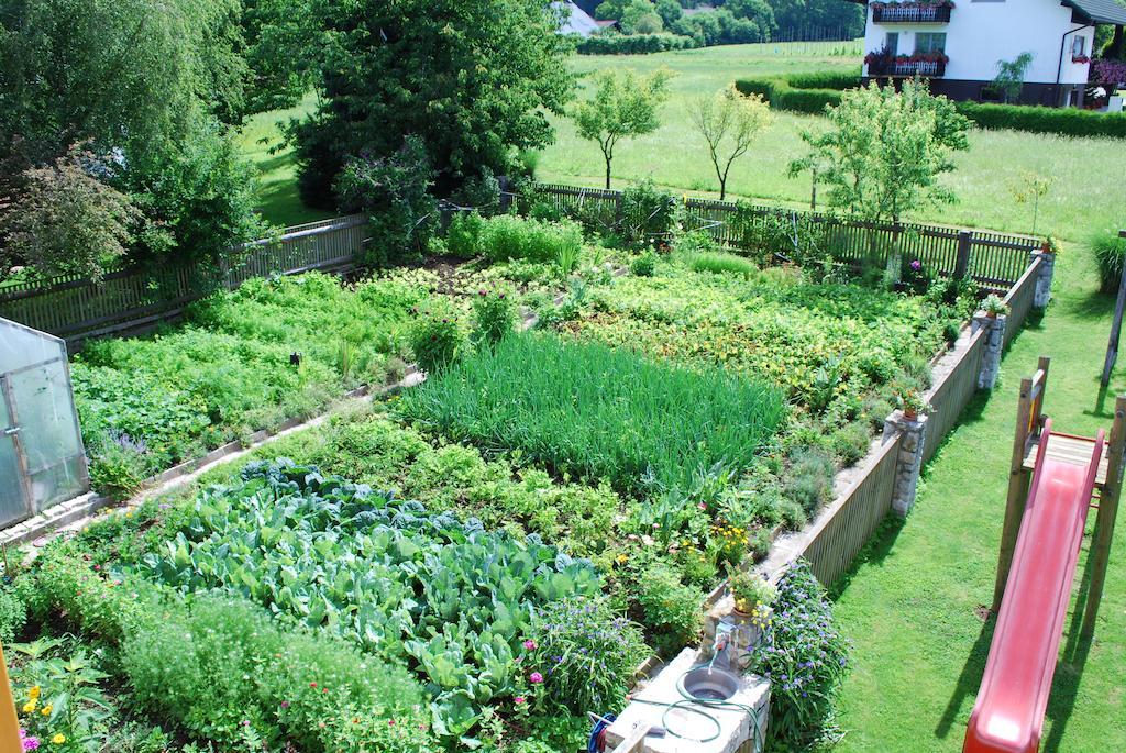 Farm Stay Rotovnik - Plesnik 슬로벤 그라데츠 외부 사진