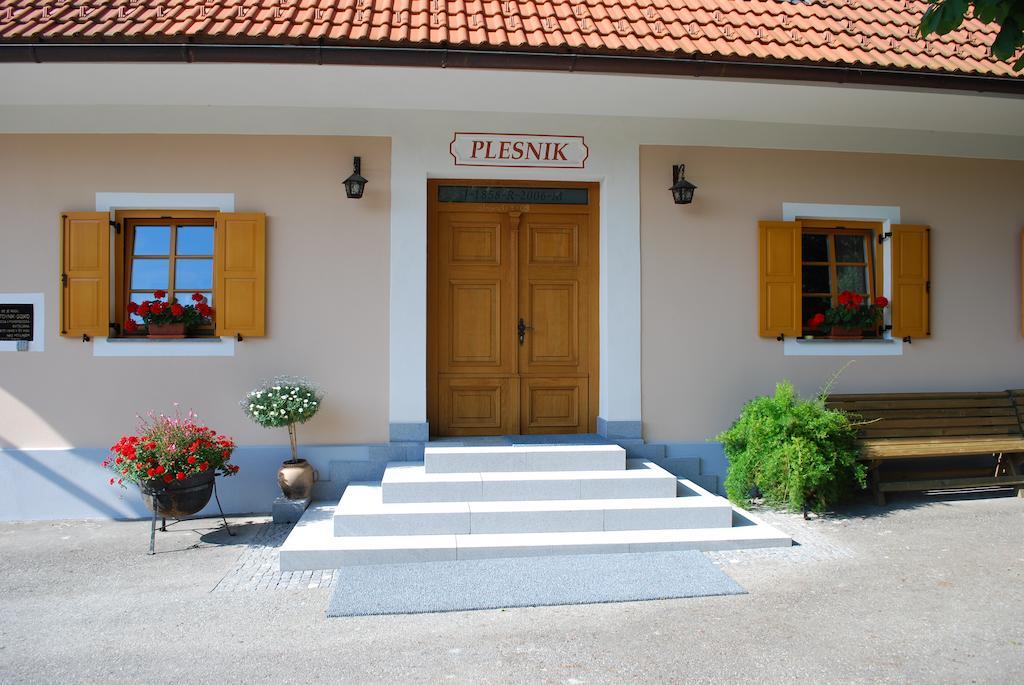Farm Stay Rotovnik - Plesnik 슬로벤 그라데츠 외부 사진